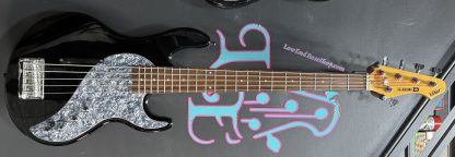 Line6 5 string with pedal board
