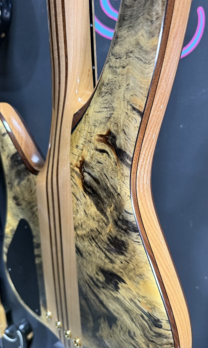 Surine 4 string Buckeye - Image 4